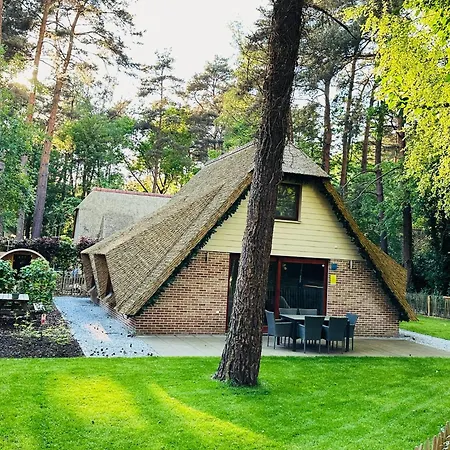 Vakantiewoning Waag Rekem